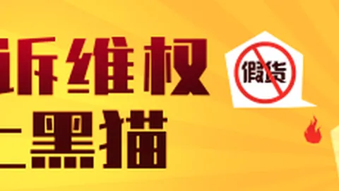 体育品牌与电竞，开云代理官网，战队合作，线下粉丝见面
